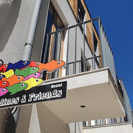 Sardines And Friends Hostel 06 Povoa de Varzim Exterior photo